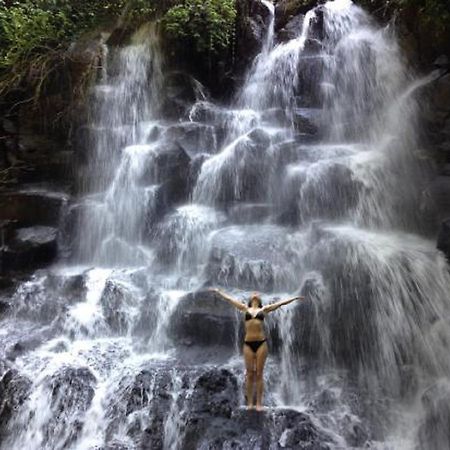 Sanggingan Villa Ubud Kültér fotó