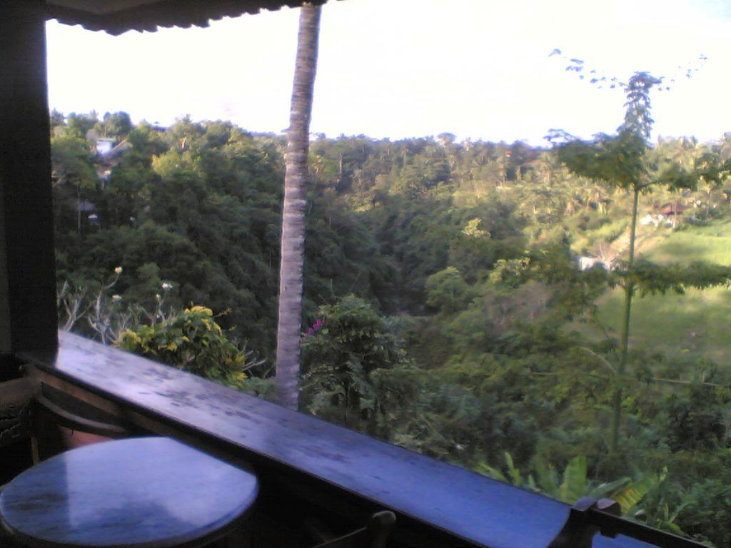 Sanggingan Villa Ubud Kültér fotó